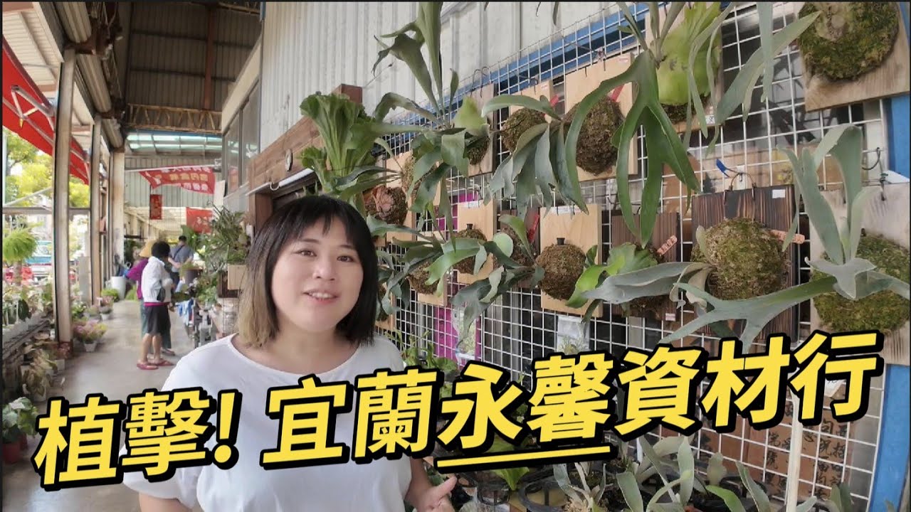 植擊！宜蘭五結永馨園藝資材行！超好逛～～～
