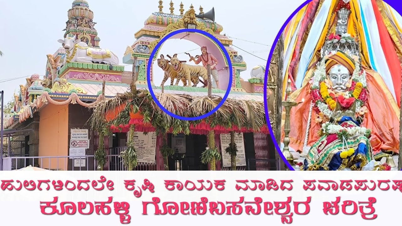 ಜೋಡಿ ಹುಲಿಗಳಿಂದ ಕೃಷಿ ಕಾಯಕ ಮಾಡಿದ ಪವಾಡ ಪುರುಷ; ಕೂಲಹಳ್ಳಿ ಗೋಣಿಬಸವೇಶ್ವರ ಚರಿತ್ರೆ.. Kulahalli