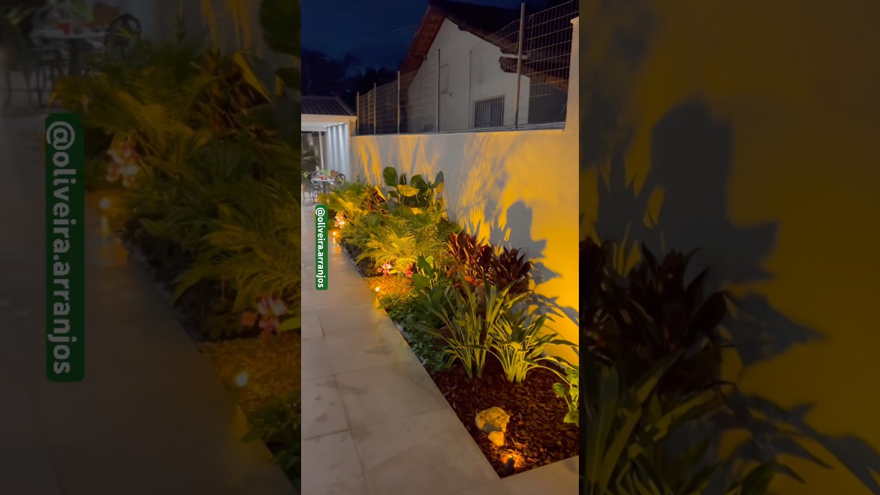 Jardim tropical com v&aacute;rias esp&eacute;cies #paisagismo #jardinagem #plantas #timelapse #shorts #garden
