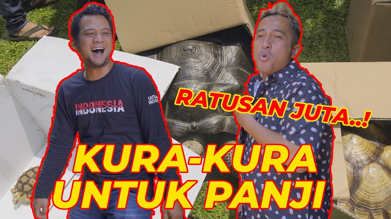 FINALLY..! BIGGEST TORTOISE FOR PANJI PETUALANG, which one do you get?