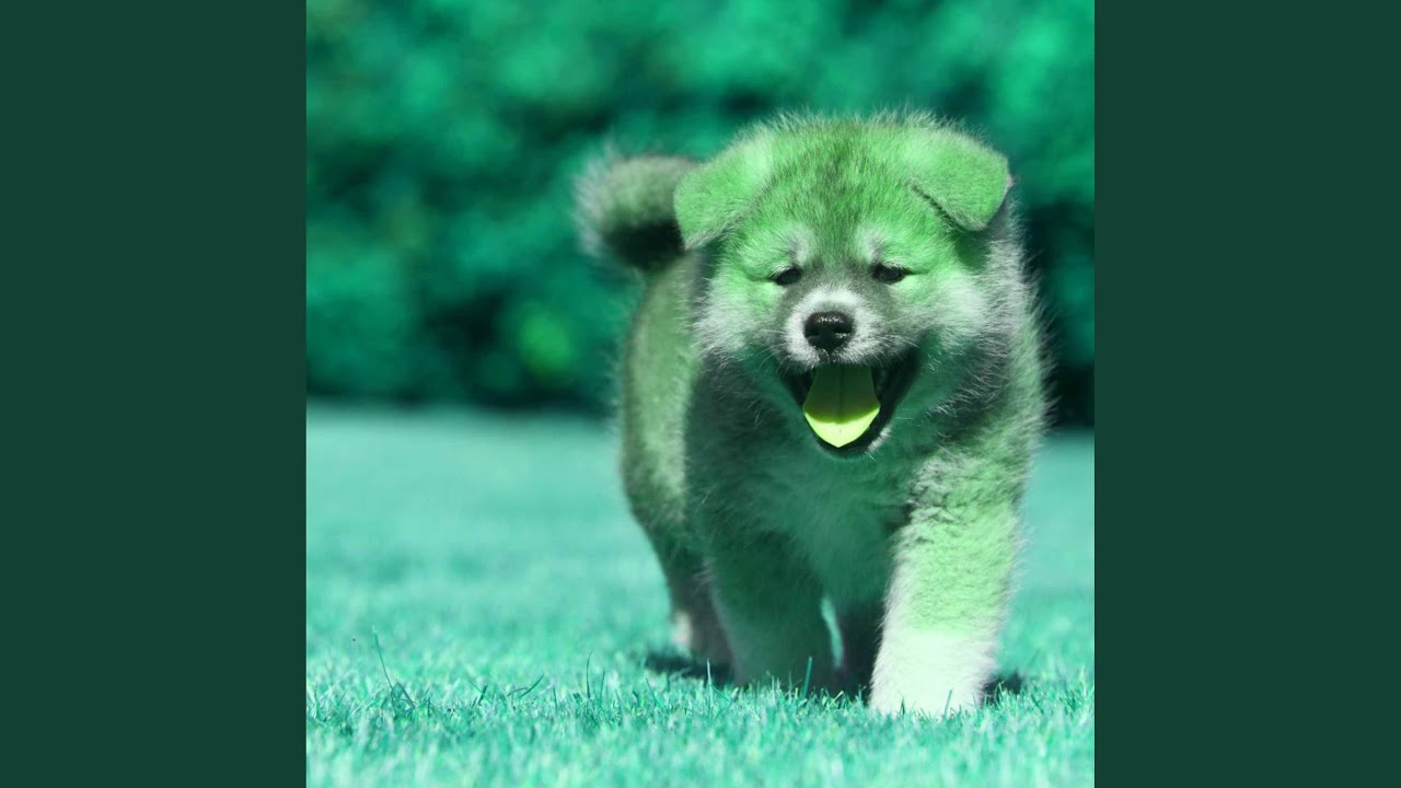 Background for Unwinding Pups