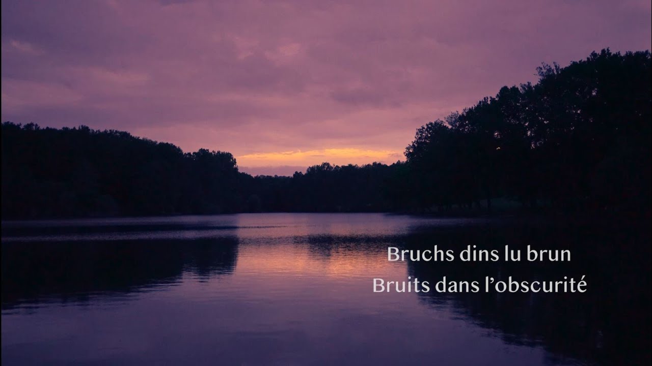 Bruchs dins lu brun