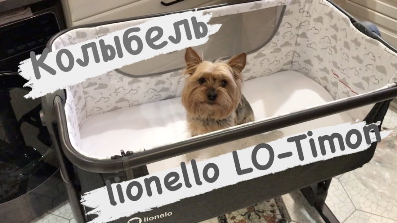 Колыбель lionello LO-Timon...собака довольна, а там посмотрим...