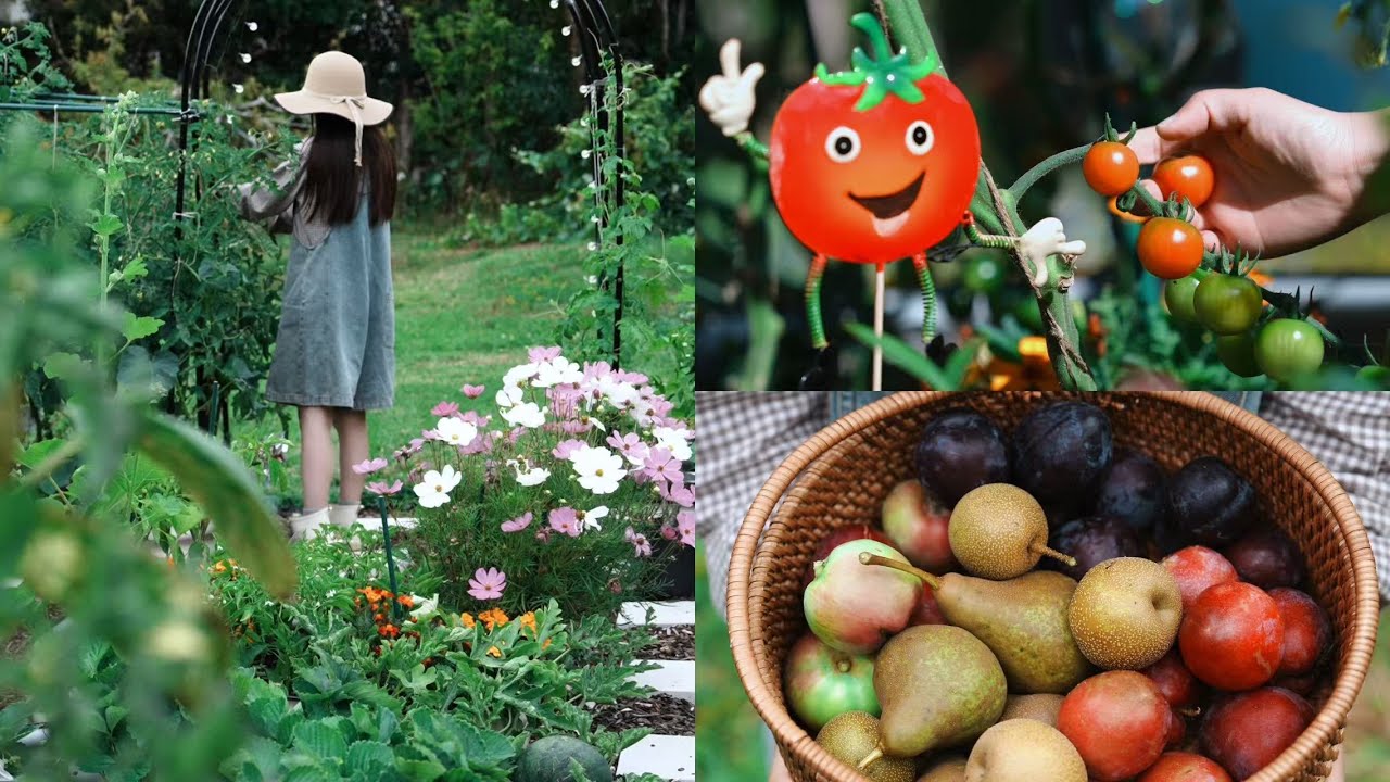 Slow Living in New Zealand: Garden Vlog 1 🌿 Daily Harvesting Veggies, Fruits & Flowers!