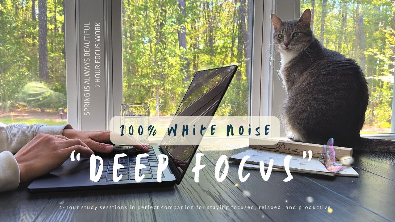 2-HOUR STUDY WITH ME 🐾 / Spring Wind and Bird Sound 🌱 / Pomodoro 30-5 📚/ Focus ADHD & Deep Work