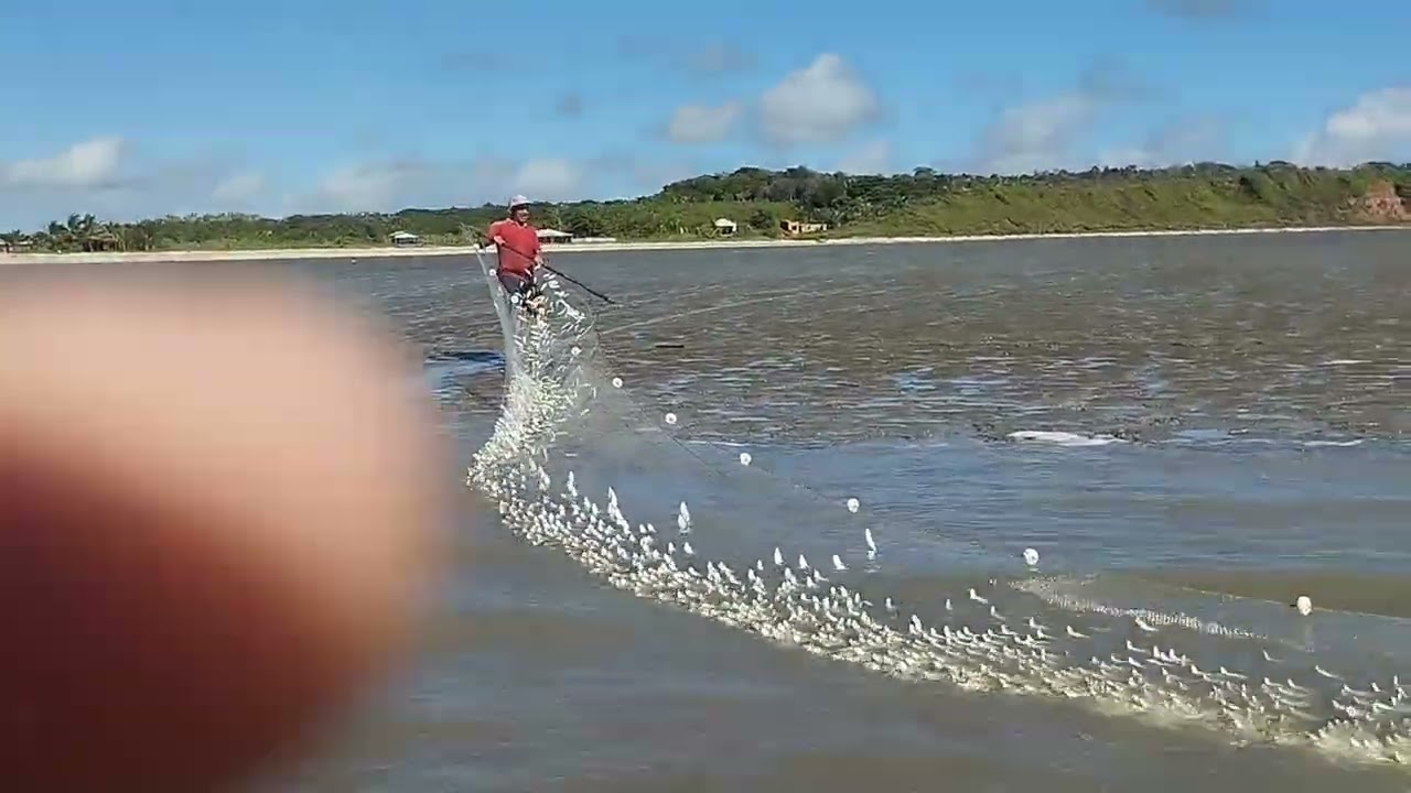 Um dia de pescaria 🎣