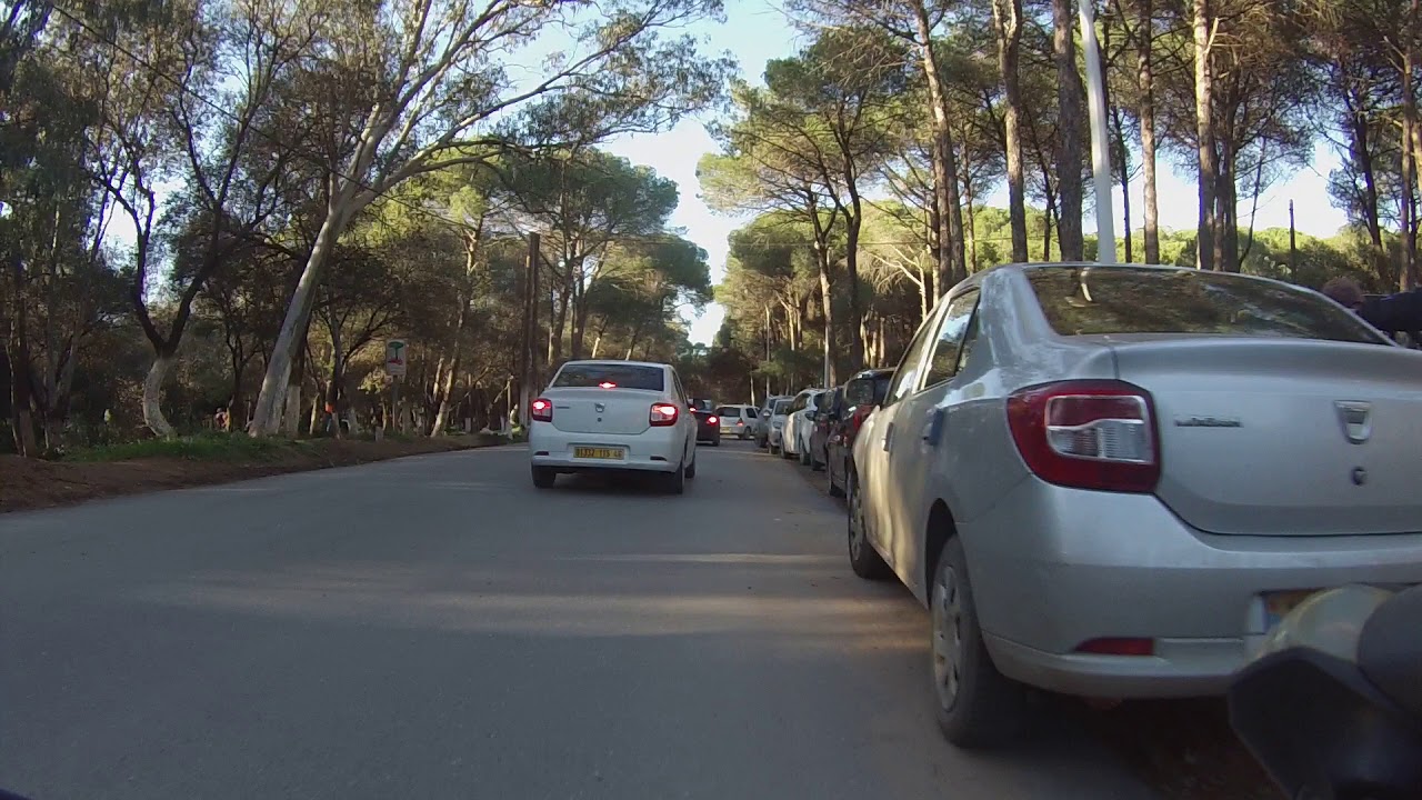 sortie   velo a foret de bouchaoui