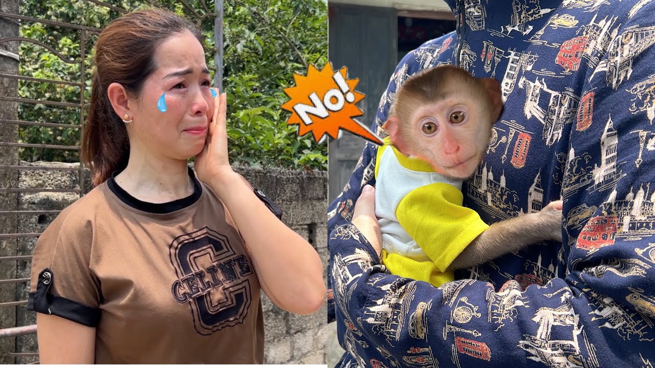 Mom is sad because she has to leave little monkey Tina who loves candles