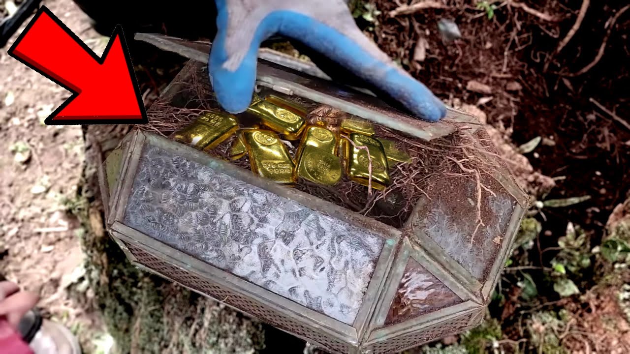 Caixa com Grande Tesouro estava  Dentro da ARVORE - 2022 - Ginho da Selva