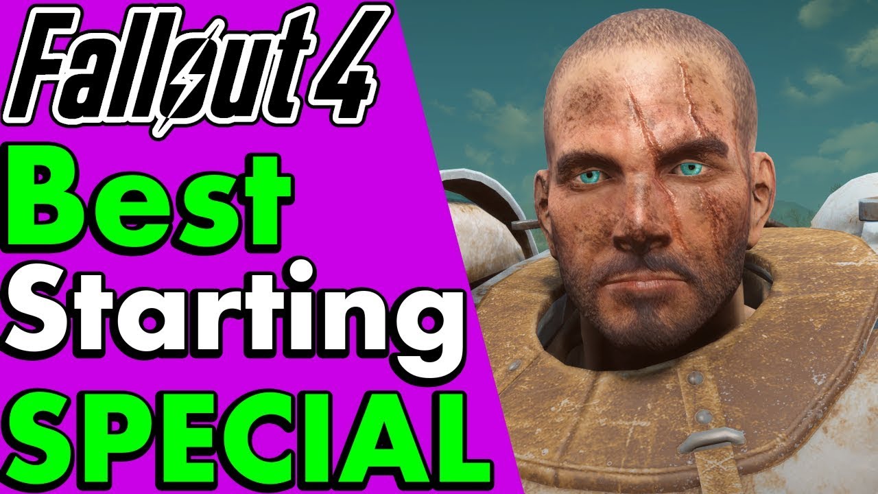 Fallout 4: Best Starting Special Stats to Start With (Melee, Survival & Beginners) #PumaThoughts