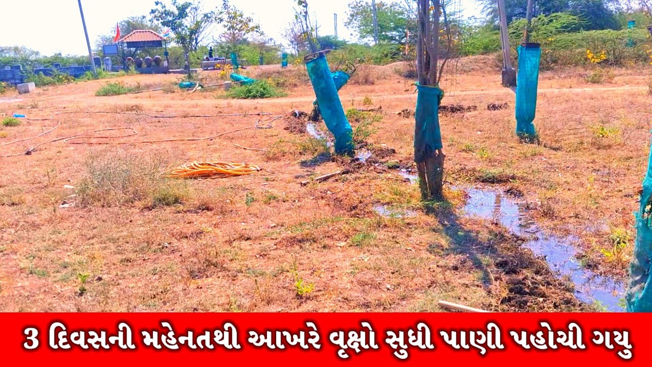 ખારાવાળા મેલડી માંના મંદિરે 3 દિવસની મહેનતથી વૃક્ષોને આખરે પાણી મળી ગયુ | Kharavala Meldi ma