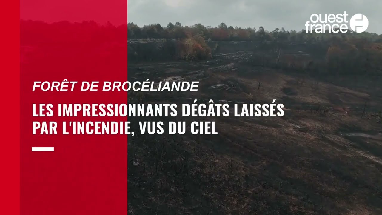Les impressionnants dégâts de l'incendie en forêt de Brocéliande vus du ciel