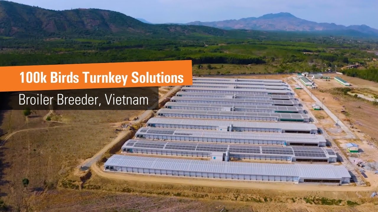 100,000+ Birds, Turnkey Solution | Advanced Broiler Breeder Farm, Vietnam
