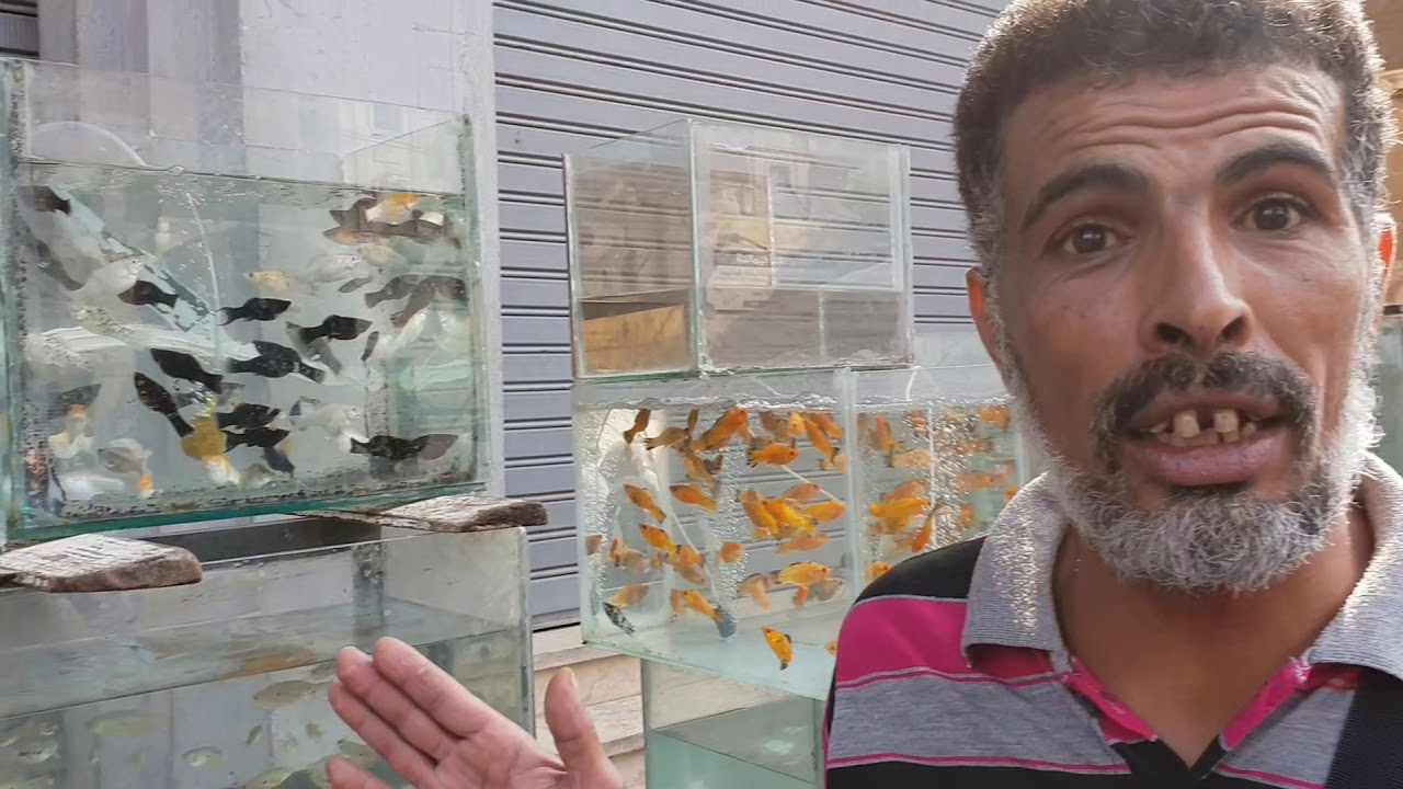 جولة بسوق الجمعة الاسكندراني