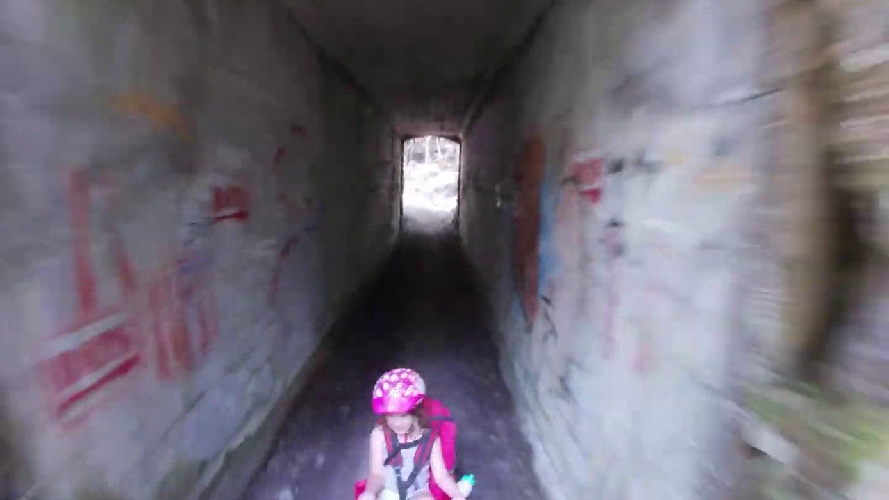 Mountain Biking Mt Hood with all the Kids Plus the Little One in the Trailer
