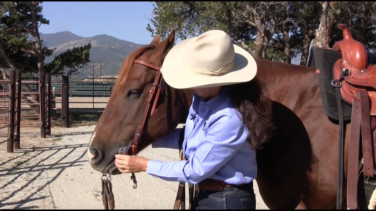 Myler Curb Bit: Adjusting a Curb Bit with a Western Headstall