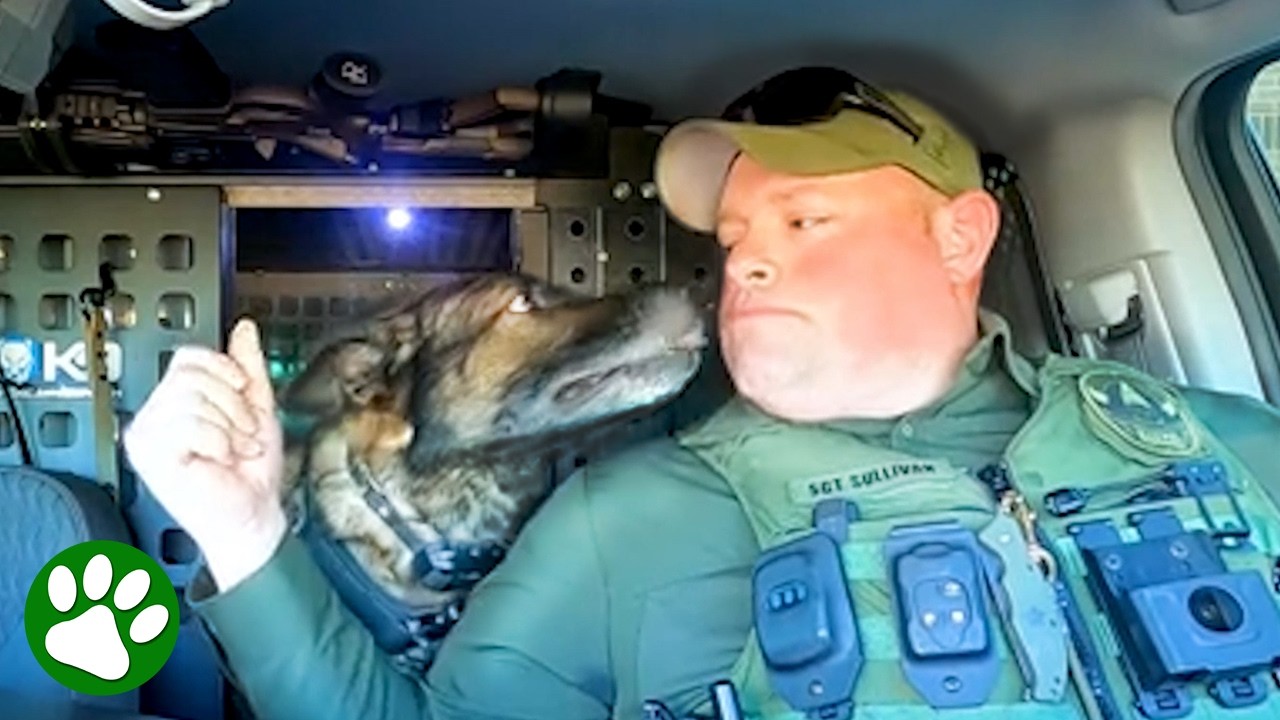 Emotional Retirement Speech For Police Dog