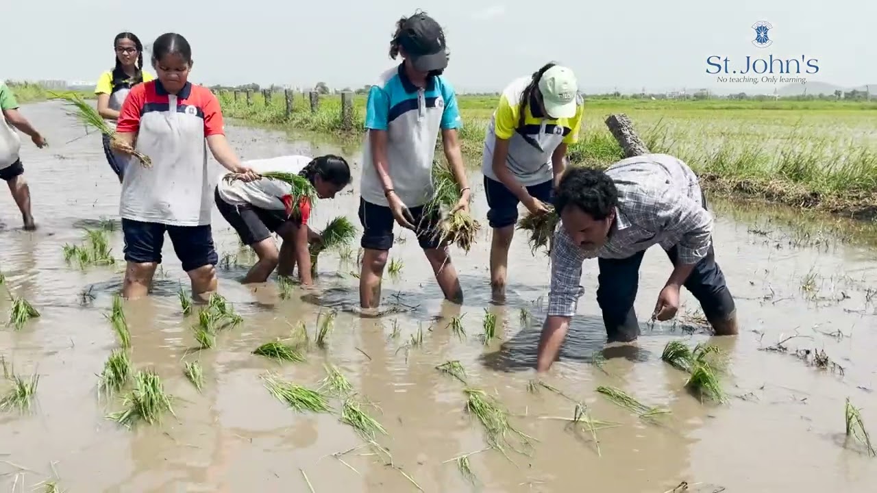 Exploring Farm Life_Feild Trip_ St. John's E.M. High School Gunadala Vijayawada