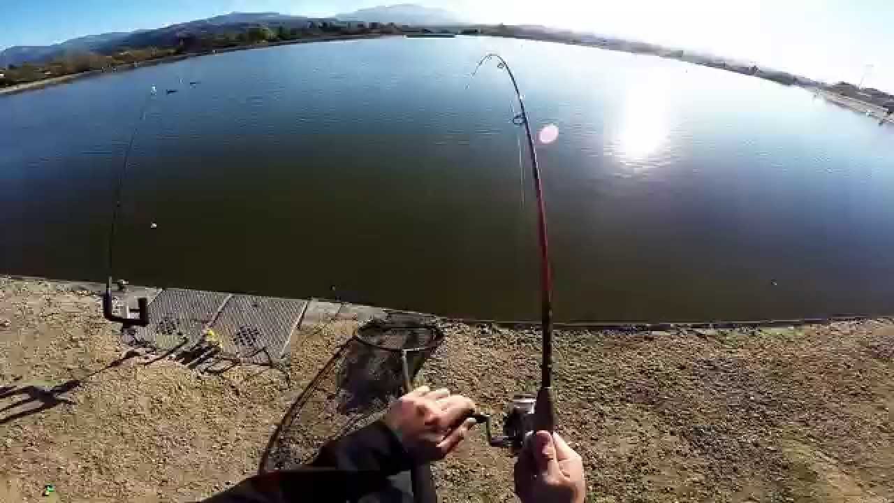 Trout Fishing at Hansen Dam Lake - January 17, 2015