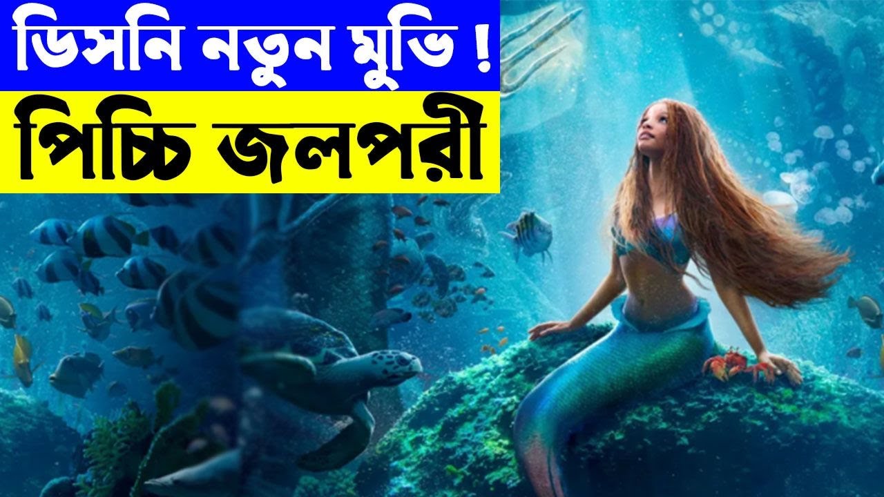 নতুন সিনেমা সংক্ষেপ ।  Movie explanation In Bangla Movie review In Bangla | Random Video Channel