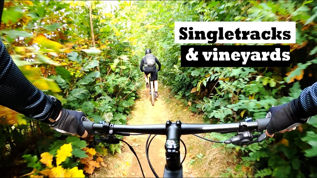 MTB Aarschot: EPIC SINGLETRACKS in 