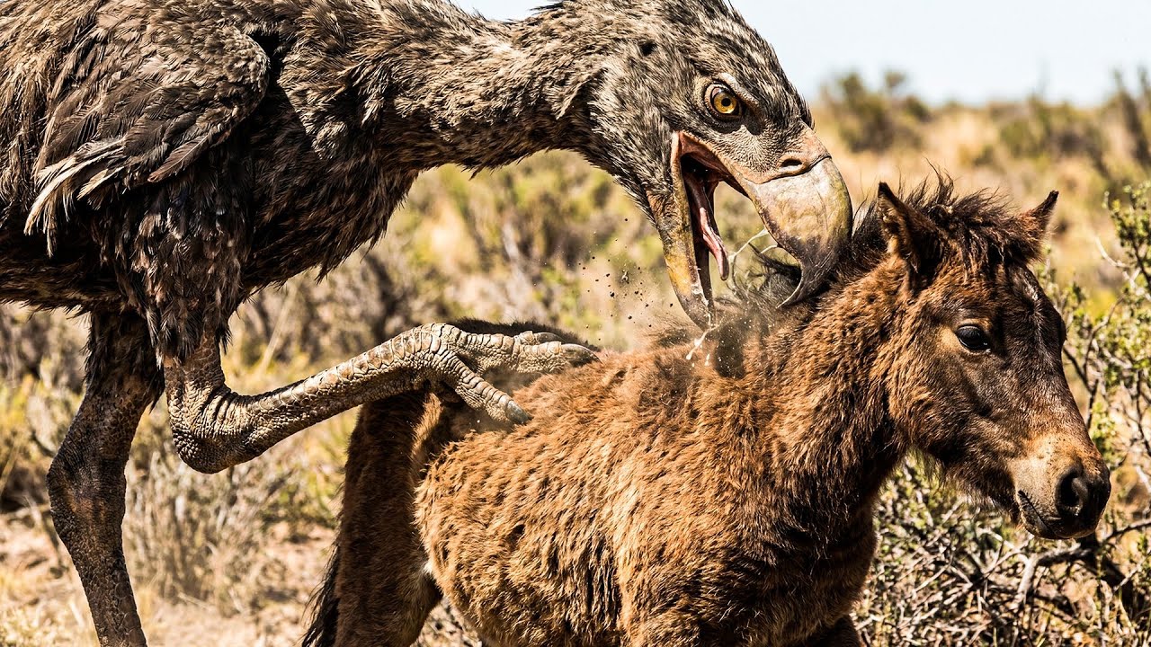 When Birds Ate Horses: The True Story of the Terror Birds | Full Documentary