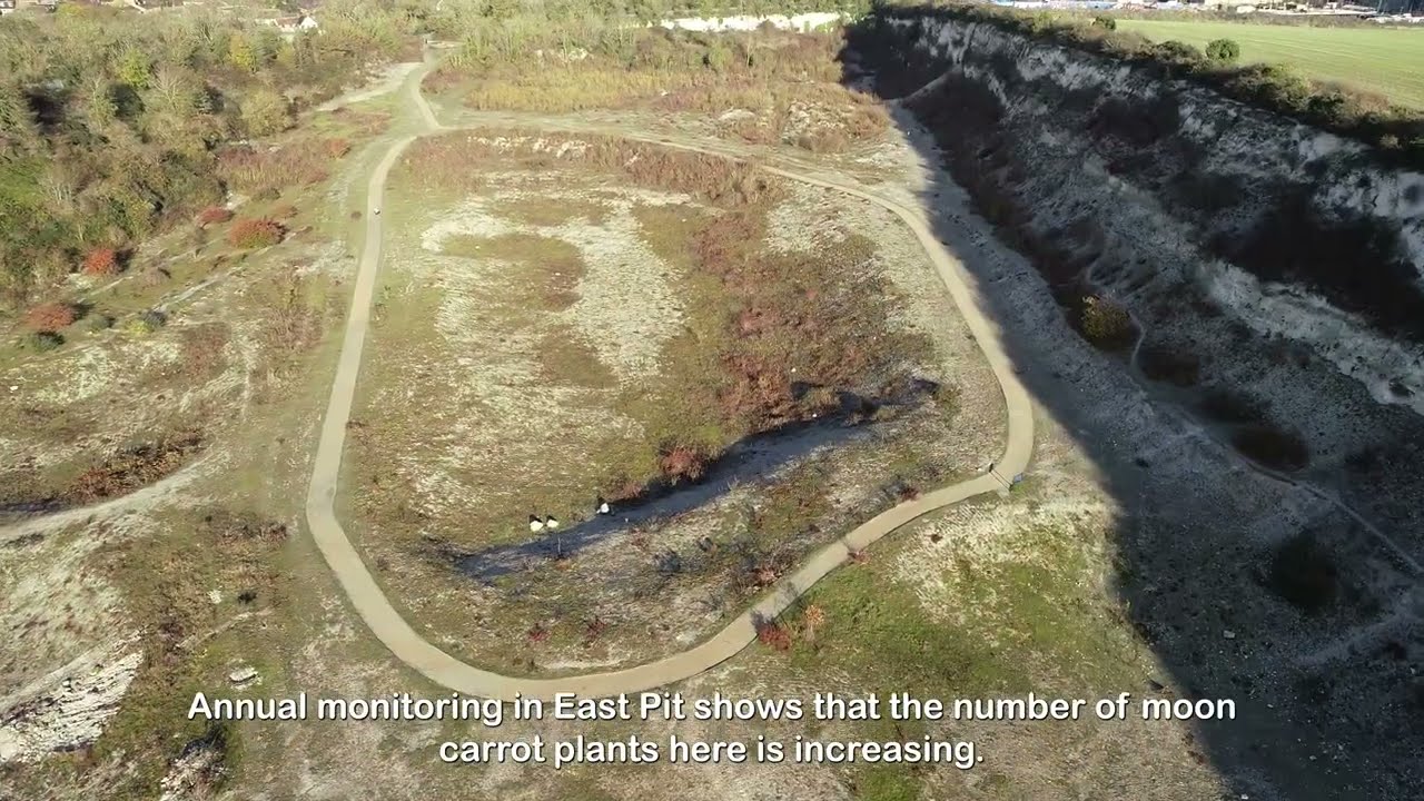 Cherry Hinton Chalk Pits Drone Aerial Tour