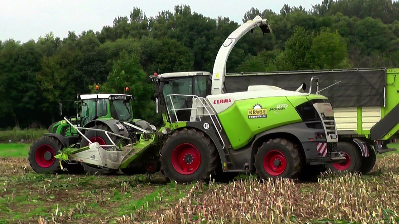 Maishäckseln 2021 mit nochmal Claas Jaguar 970 u. Claas Orbis 900 Maisgebiß