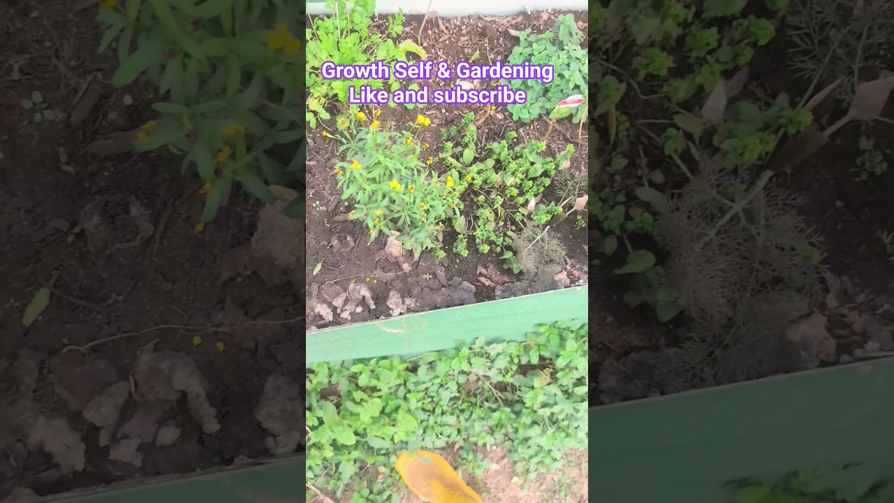 garden tour 
