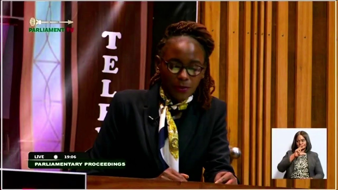 National Assembly of Zambia  Live Stream