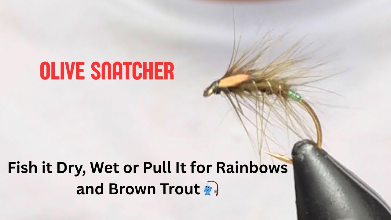 Olive Snatcher - Saved me a few blanks & caught some big trout 🐟 #flytying #fishing #sport #trout