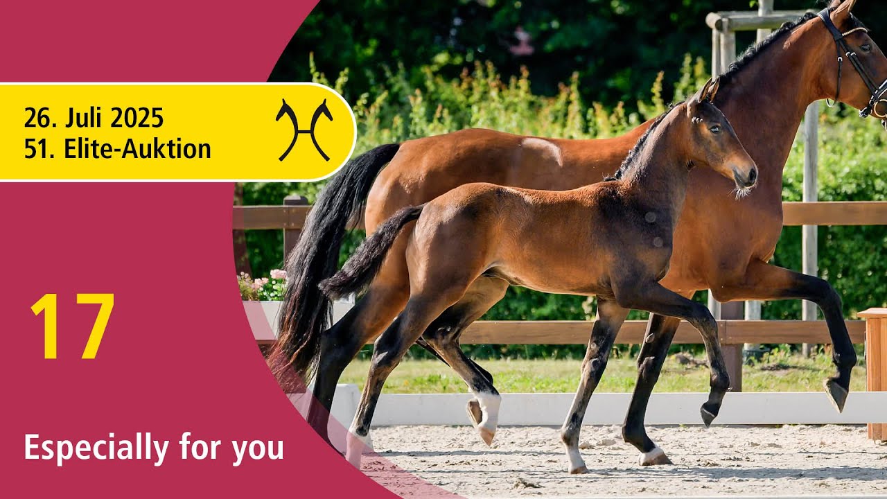 No. 17 Especially for you by Escamillo - Franklin | 51st Elite Foal Auction - OnLive – July, 26th