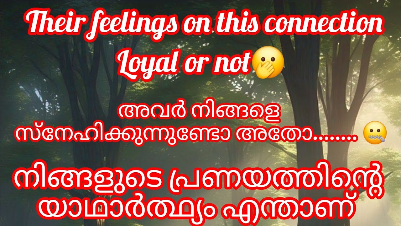 കൺഫ്യൂഷനിൽ ആണോ നിങ്ങളുടെ പ്രണയം എങ്ങോട്ടേക്കാണ് പോകുന്നത് എന്നുള്ള സംശയം നിങ്ങൾക്കുണ്ടോ???