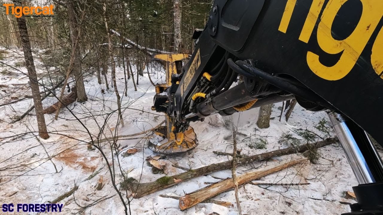 Tigercat 845D Bunching for Processor