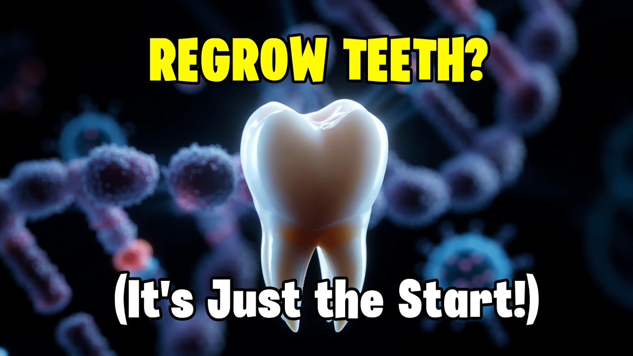 Regrow Teeth: Beyond Dental Breakthroughs | Regenerative Medicine EXPLAINED