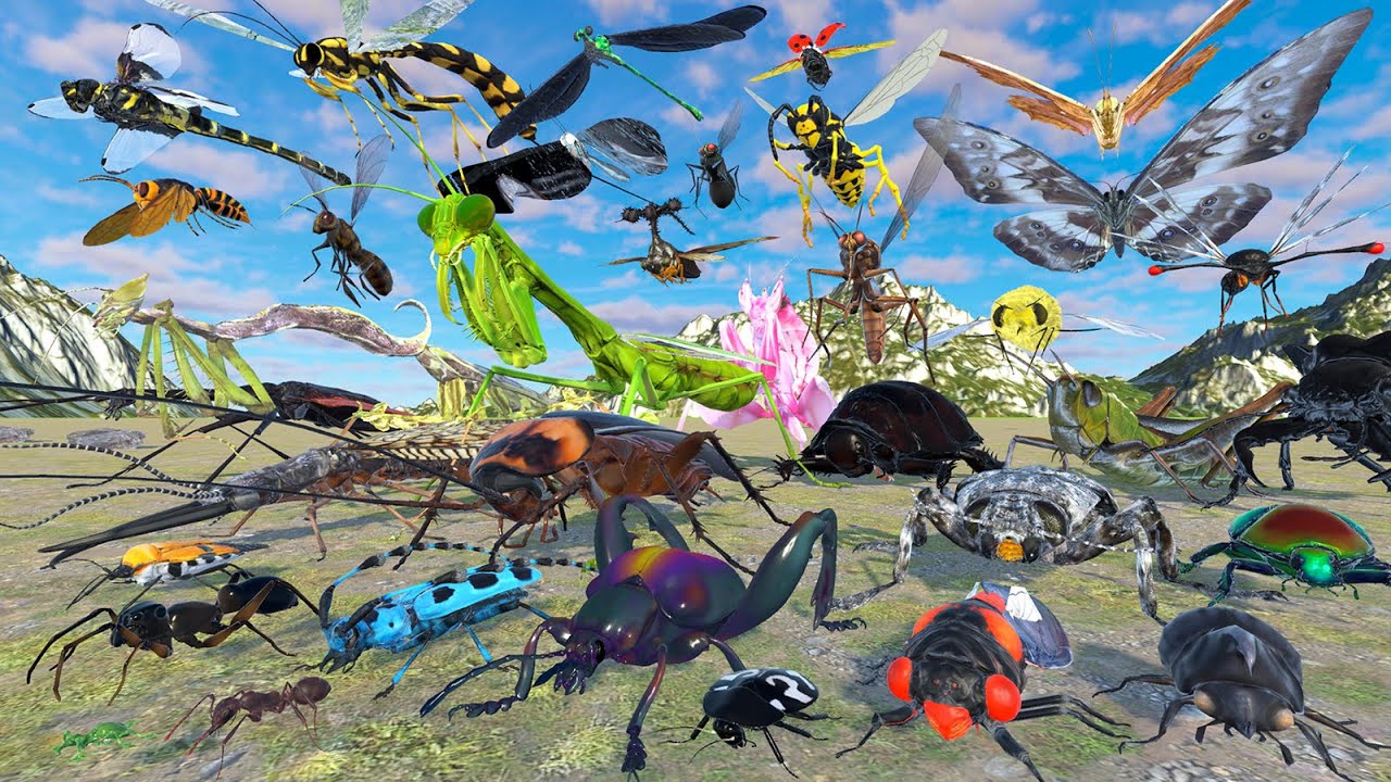 Realistic Insect Body Size Comparison - 3D Animation Comparison