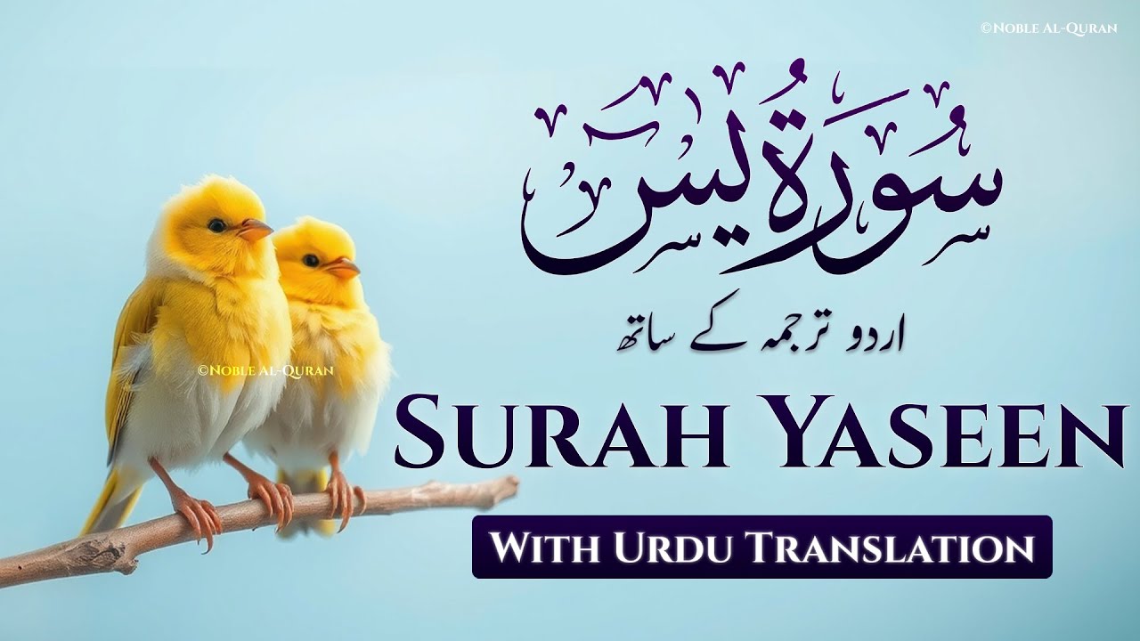 Surah Yasin | Surat Yaseen with Urdu Translation | Quran Tilawat Beautiful Voice | Urdu Tarjuma