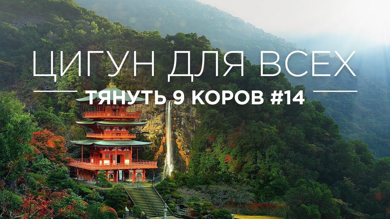 ЦИГУН ДЛЯ ВСЕХ - ТЯНУТЬ ЗА ХВОСТ ДЕВЯТЬ КОРОВ #14