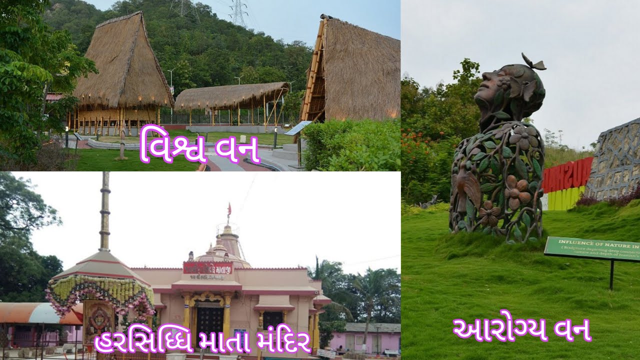 Vishwa van🌍 || Aarogya Van🌴 || Harsidhdhimata Mandir🙏 || food explore 🥝|| 