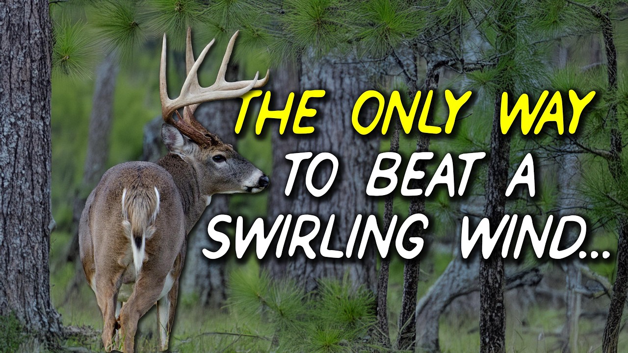 How to Hunt Deer in Swirling Winds