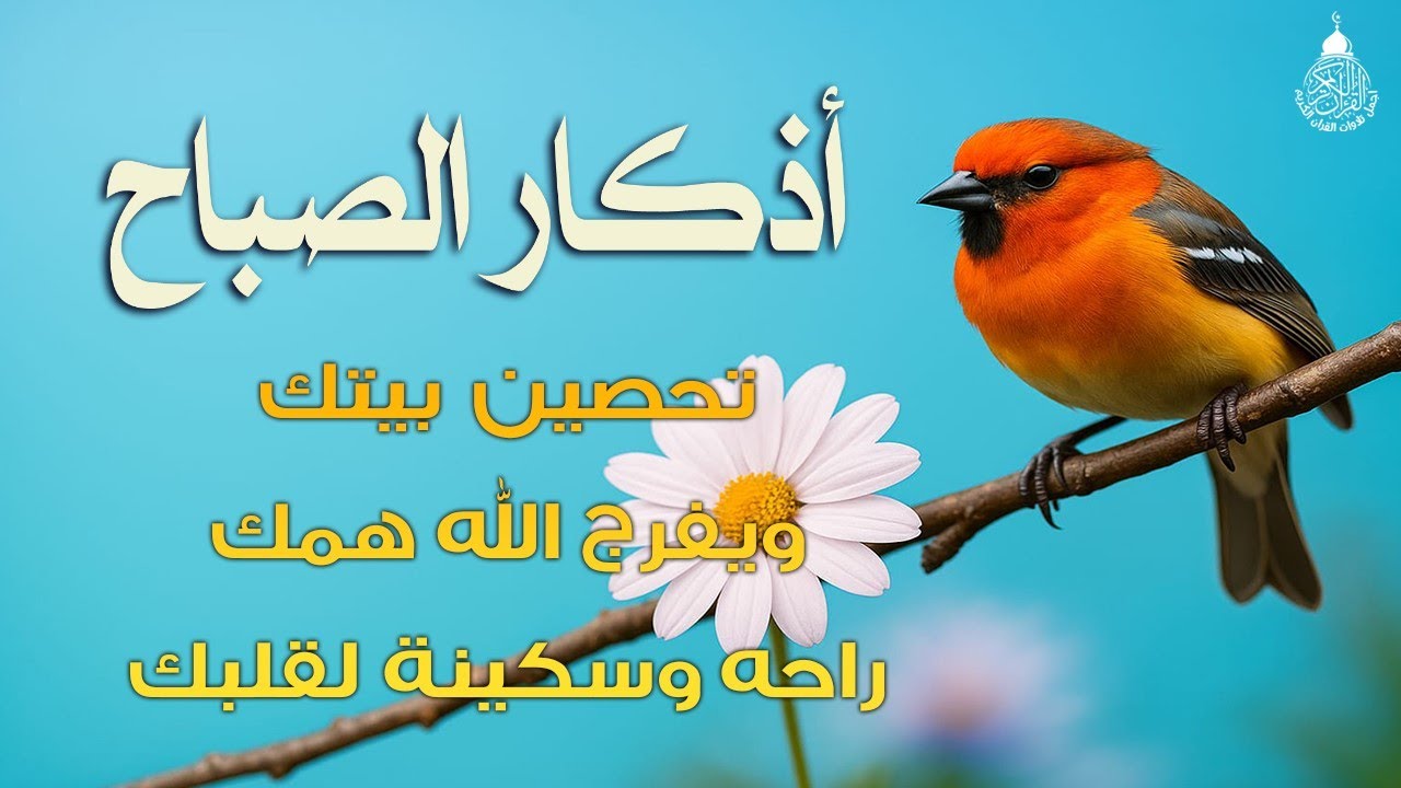 اذكار الصباح بصوت جميل هادئ مريح للقلب 💚 إذا قلته كفاك الله ورزقك من حيث لا تحتسب Adkar Sabah