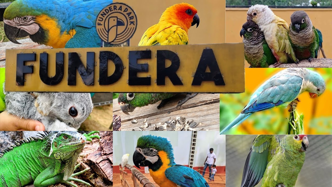 FUNDERA PARK @YELAGIRI, TN | Exotic Birds Park | AVIARY| Petting Farm |MUST VISIT PLACE IN YELAGIRI