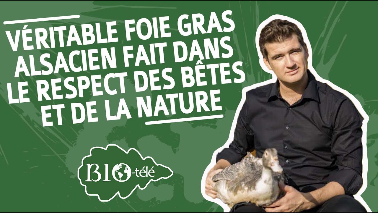 VÉRITABLE FOIE GRAS ALSACIEN FAIT DANS LE RESPECT DES BÊTES ET DE LA NATURE
