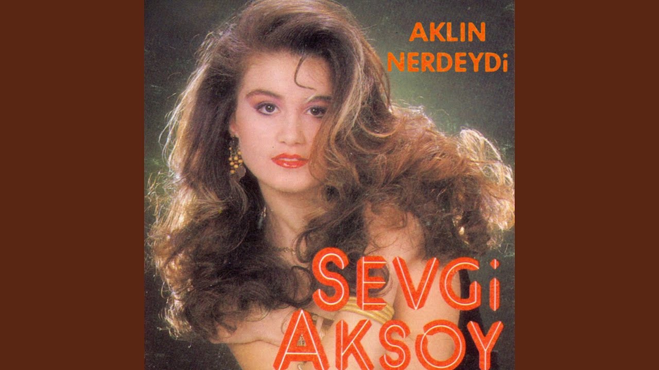 Aklın Nerdeydi