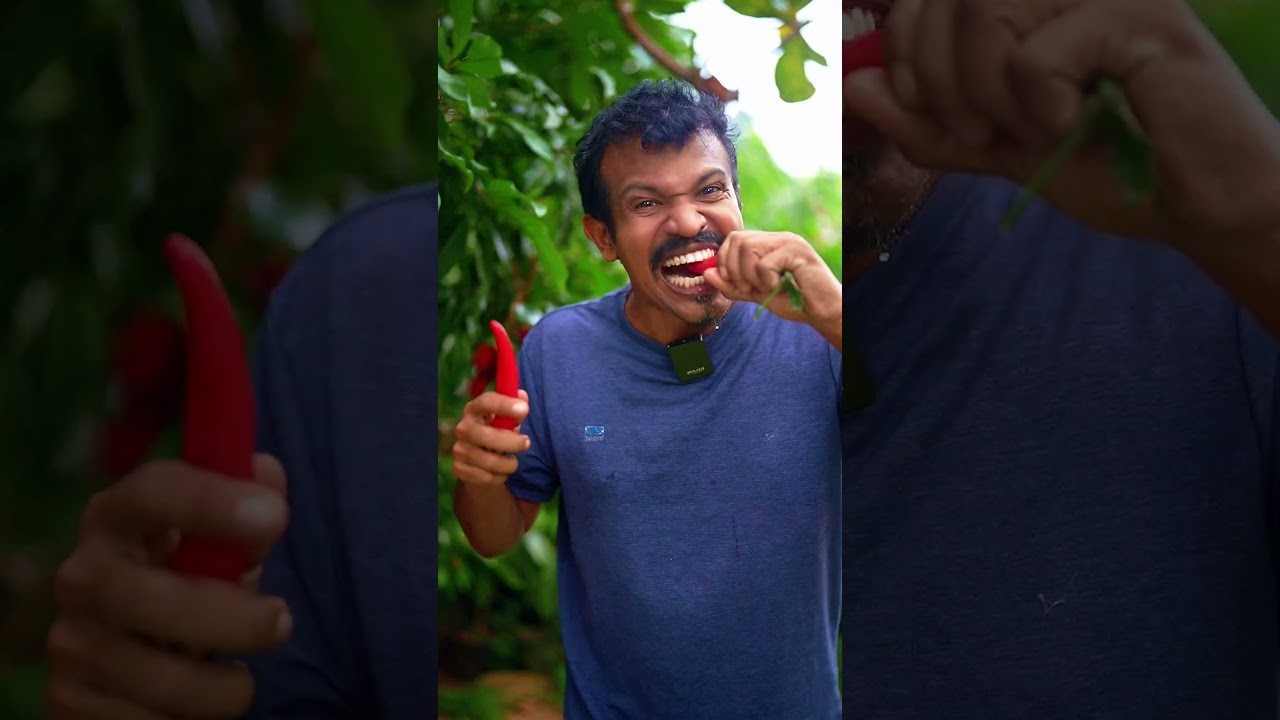 Banana Pepper vs Rambutan &ndash; Which Wins 🌶️🥊🥭