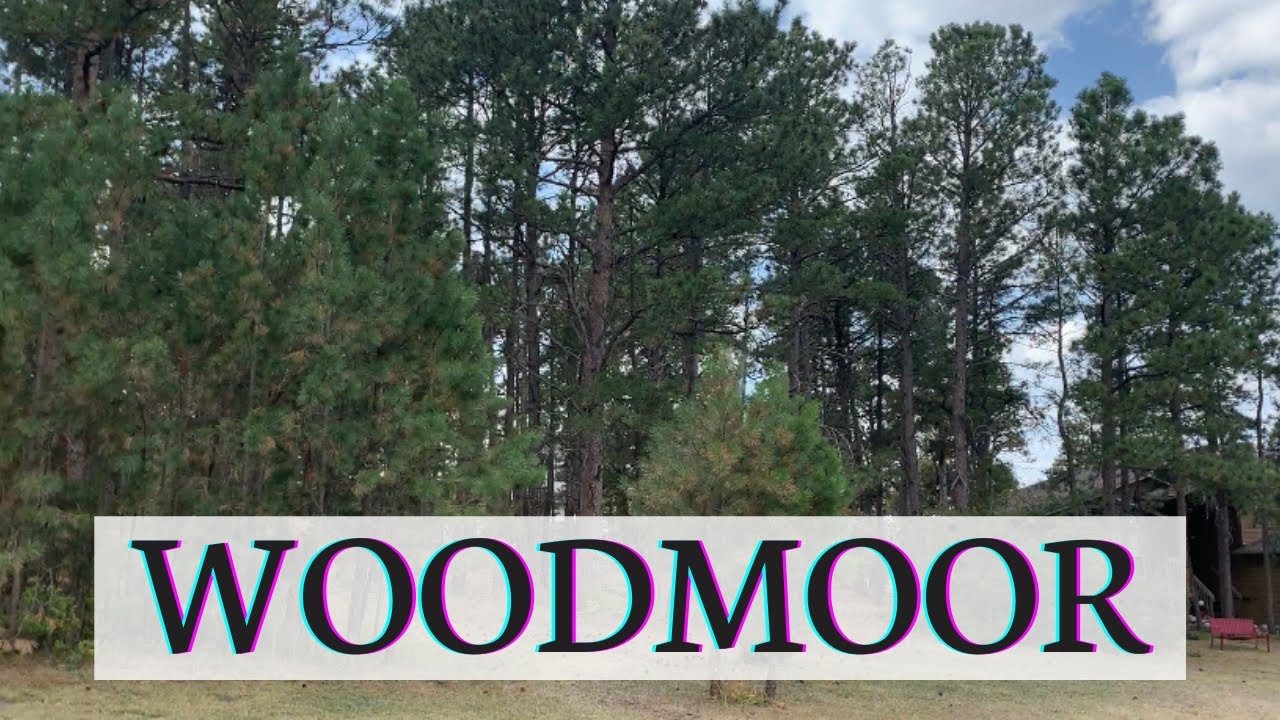 Woodmoor Colorado {Monument Colorado}