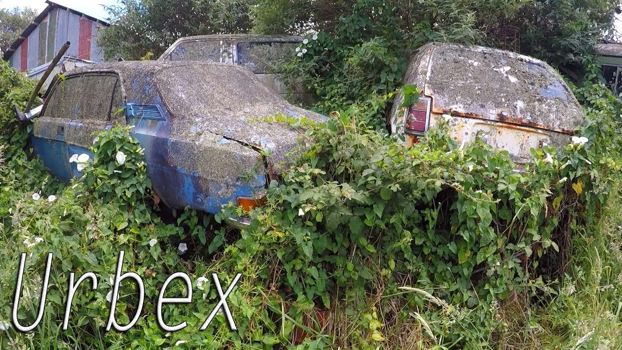 Left to rust: Abandoned overgrown caryard New Zealand
