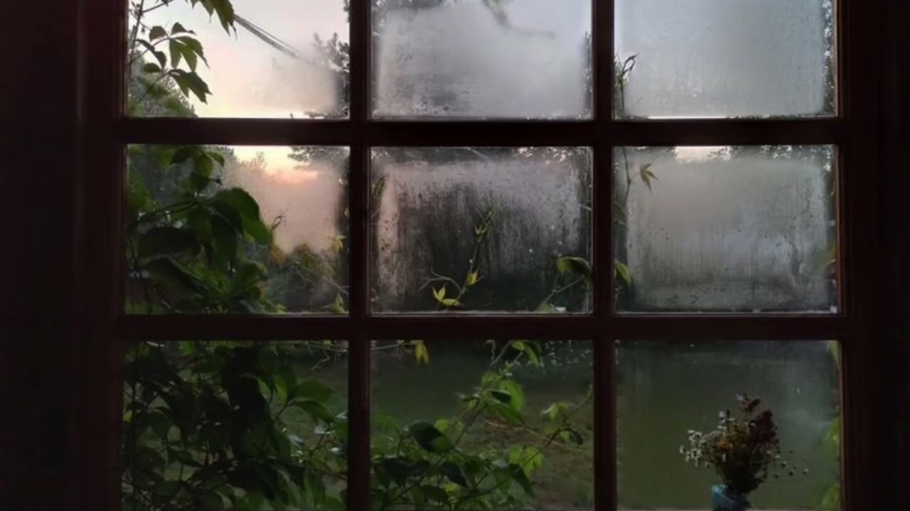 6 Hours of Gentle Rain Sounds for Deep Sleep 🌙 | Relax, Study, Stress Relief