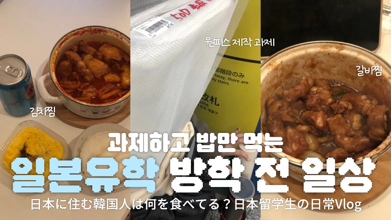 일본 유학 가면 뭐해요? 과제하고 밥만 먹어요… 방학 전 너무 바쁜 일상 브이로그