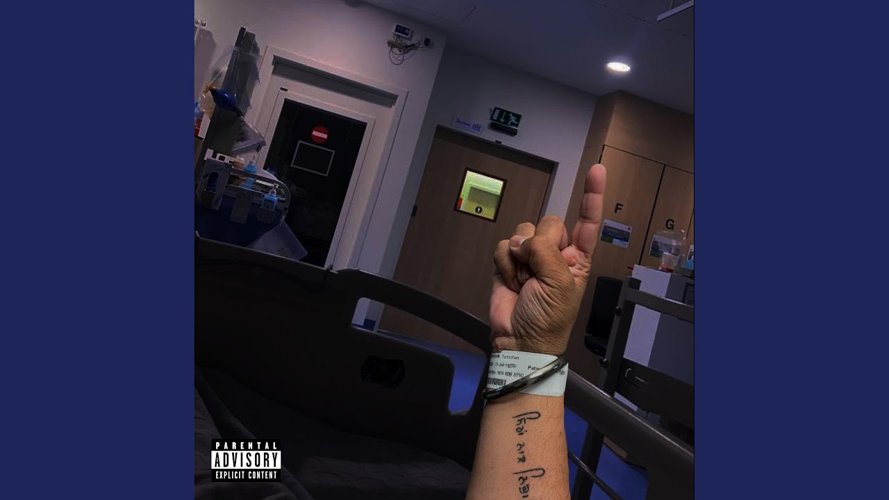 Lions and Bees (feat. Method Man, Redman & Daman Hayer)